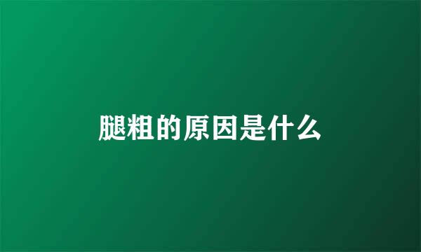 腿粗的原因是什么