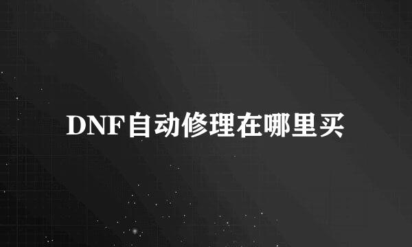 DNF自动修理在哪里买