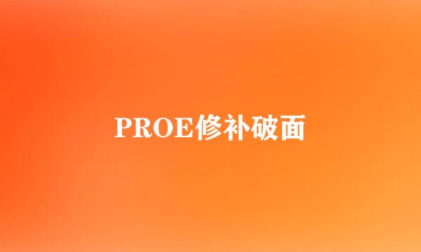 PROE修补破面