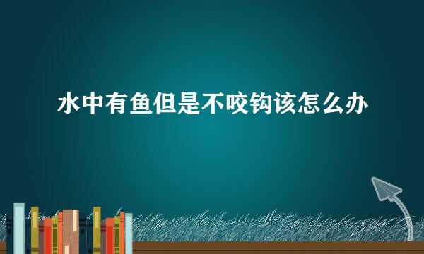 水中有鱼但是不咬钩该怎么办