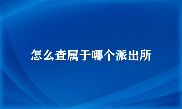 怎么查属于哪个派出所