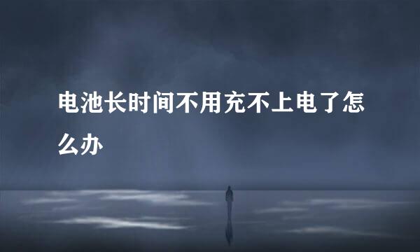 电池长时间不用充不上电了怎么办
