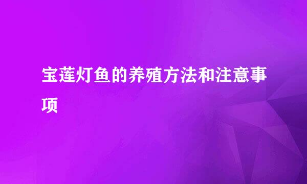 宝莲灯鱼的养殖方法和注意事项