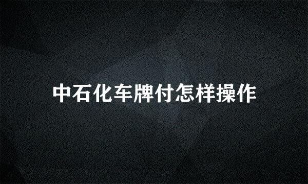 中石化车牌付怎样操作