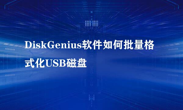 DiskGenius软件如何批量格式化USB磁盘