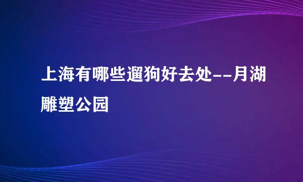 上海有哪些遛狗好去处--月湖雕塑公园