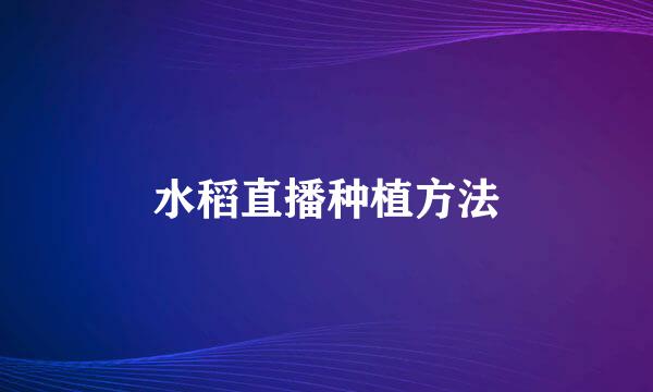 水稻直播种植方法