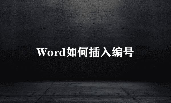 Word如何插入编号