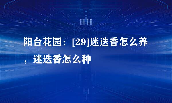阳台花园：[29]迷迭香怎么养，迷迭香怎么种