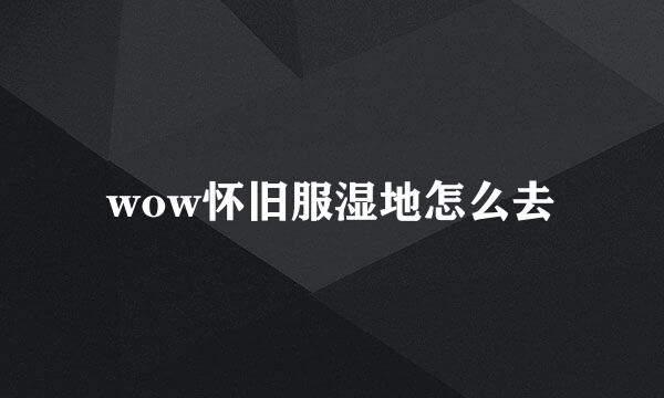 wow怀旧服湿地怎么去