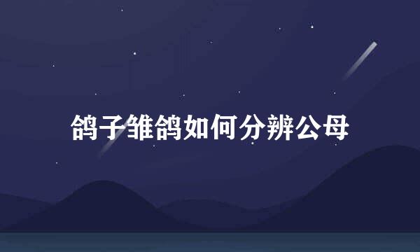 鸽子雏鸽如何分辨公母