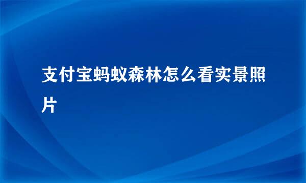 支付宝蚂蚁森林怎么看实景照片