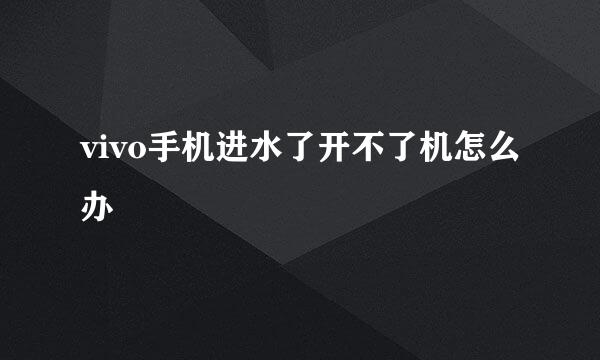 vivo手机进水了开不了机怎么办