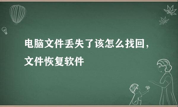 电脑文件丢失了该怎么找回，文件恢复软件