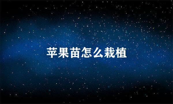 苹果苗怎么栽植