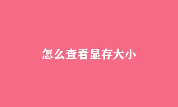 怎么查看显存大小