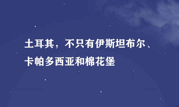 土耳其,不只有伊斯坦布尔、卡帕多西亚和棉花堡