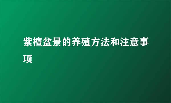 紫檀盆景的养殖方法和注意事项