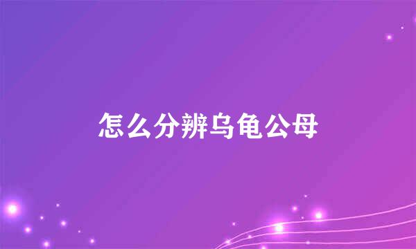 怎么分辨乌龟公母