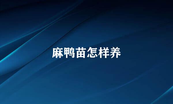 麻鸭苗怎样养