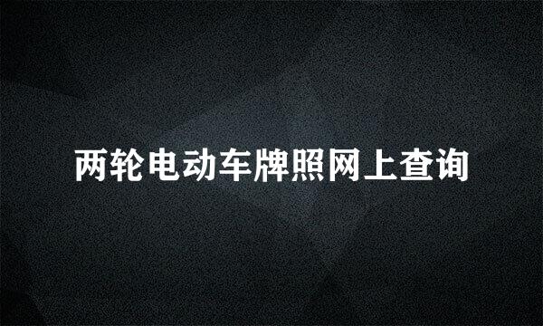 两轮电动车牌照网上查询