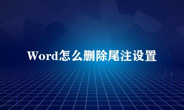 Word怎么删除尾注设置