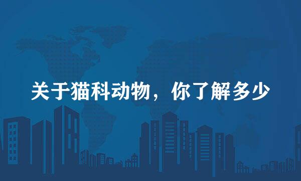 关于猫科动物，你了解多少
