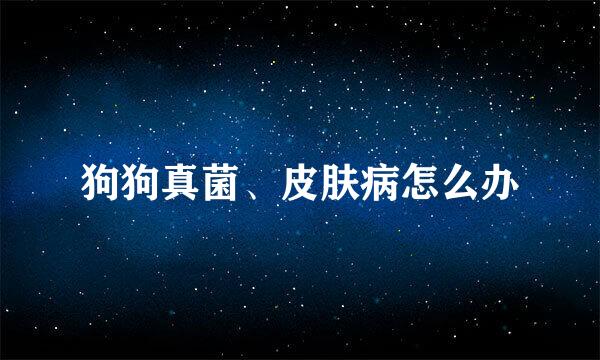狗狗真菌、皮肤病怎么办