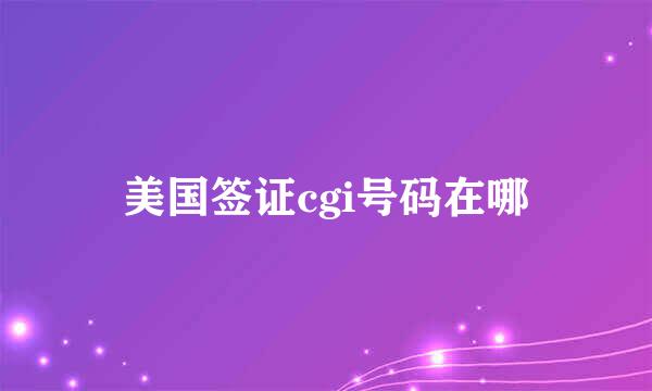 美国签证cgi号码在哪