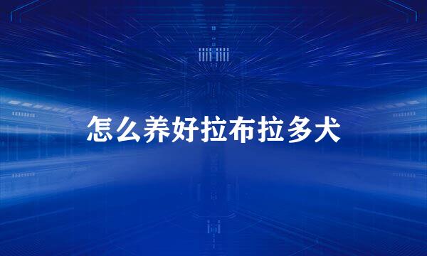 怎么养好拉布拉多犬