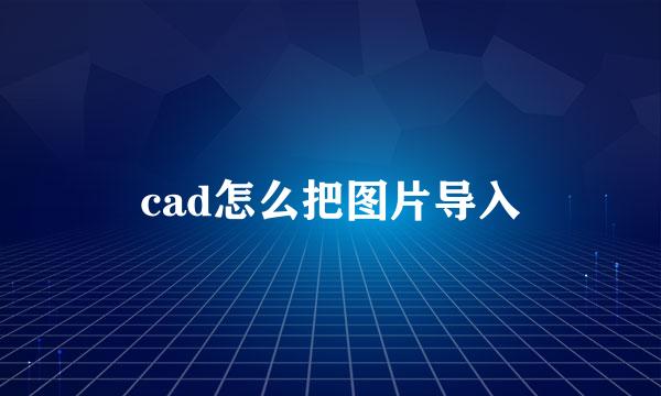 cad怎么把图片导入
