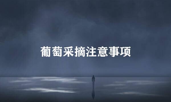 葡萄采摘注意事项