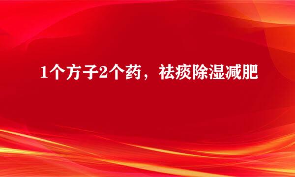 1个方子2个药，祛痰除湿减肥