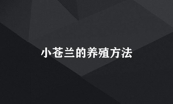 小苍兰的养殖方法