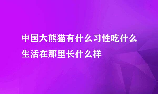 中国大熊猫有什么习性吃什么生活在那里长什么样