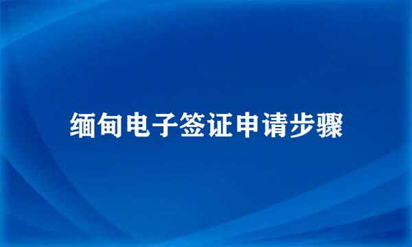 缅甸电子签证申请步骤