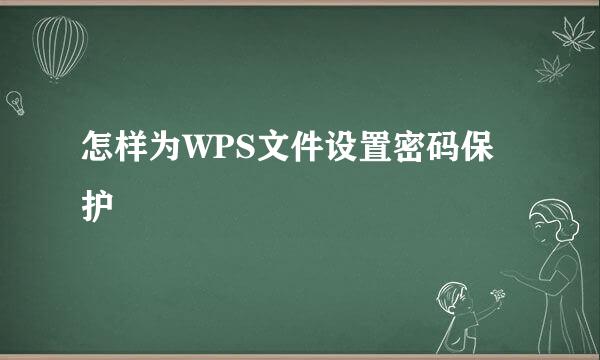 怎样为WPS文件设置密码保护