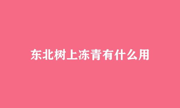 东北树上冻青有什么用
