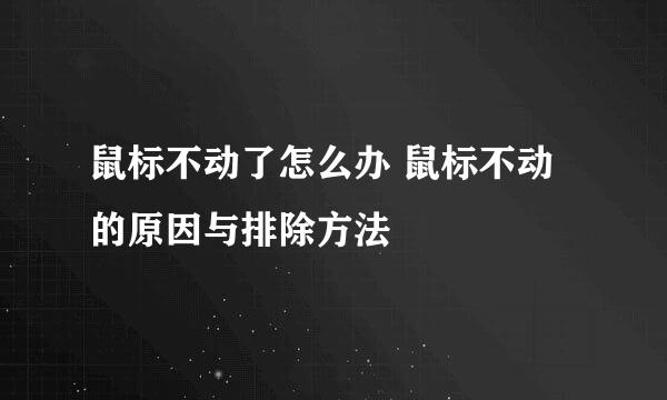 鼠标不动了怎么办 鼠标不动的原因与排除方法