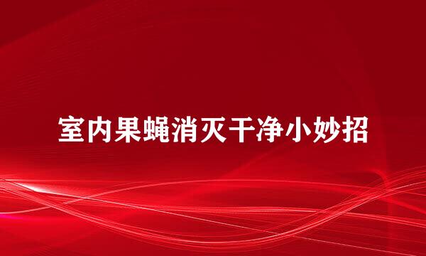 室内果蝇消灭干净小妙招