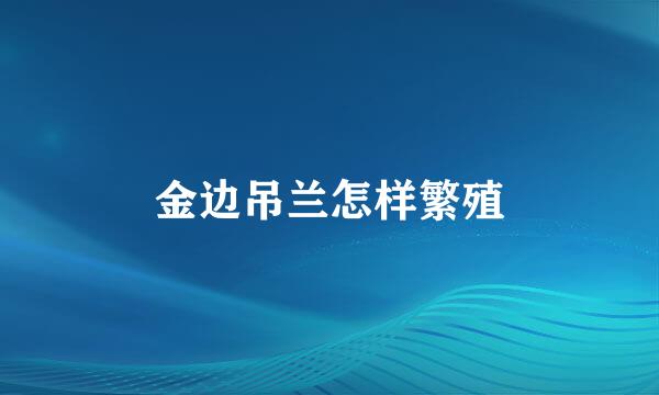 金边吊兰怎样繁殖