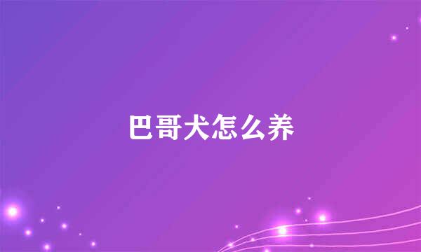 巴哥犬怎么养