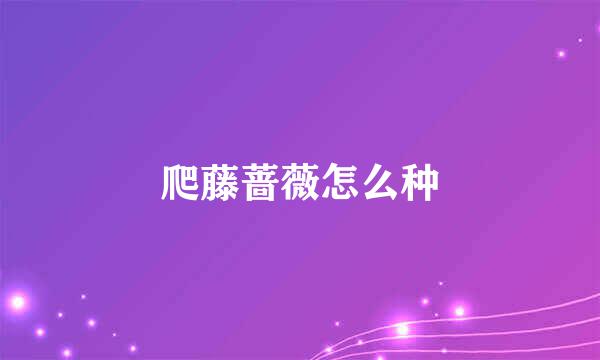 爬藤蔷薇怎么种