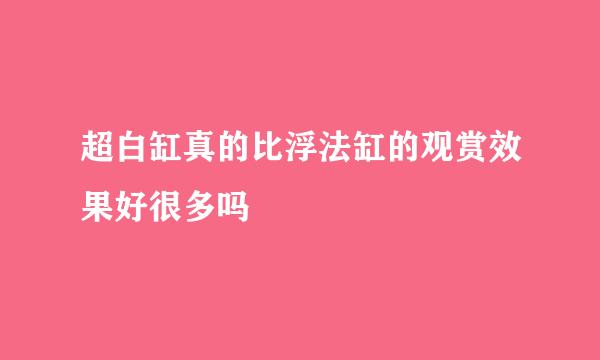 超白缸真的比浮法缸的观赏效果好很多吗