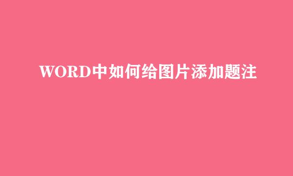 WORD中如何给图片添加题注