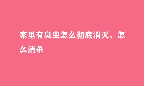 家里有臭虫怎么彻底消灭，怎么消杀