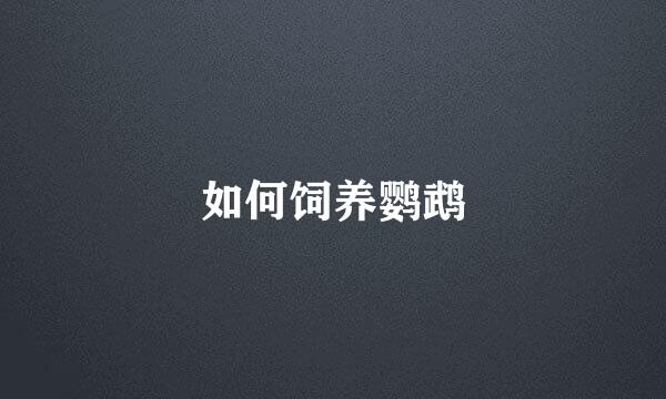 如何饲养鹦鹉
