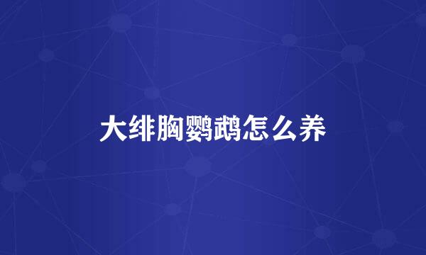 大绯胸鹦鹉怎么养