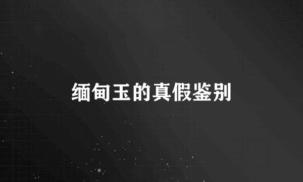 缅甸玉的真假鉴别