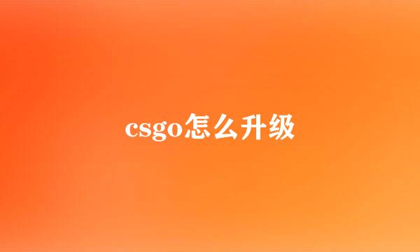 csgo怎么升级